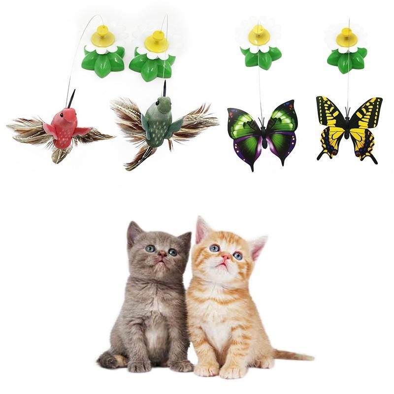 Butterfly Cat Toy