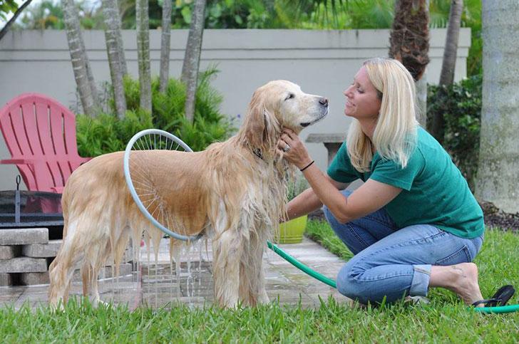 Pet 360 Degree Shower Tool Kit