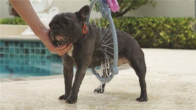 Pet 360 Degree Shower Tool Kit
