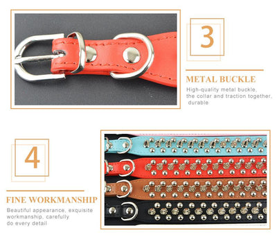 Spikes Studded Pet Collar
