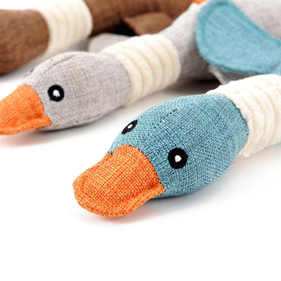 Dog Toy with Sound