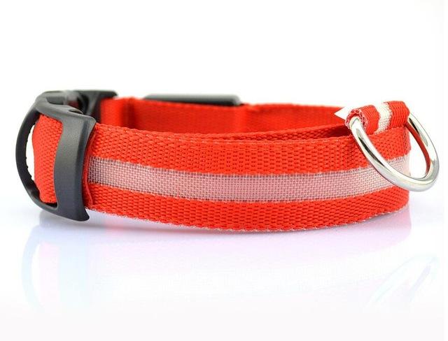 Nylon LED Pet Collar