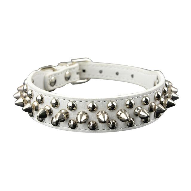 Spikes Studded Pet Collar