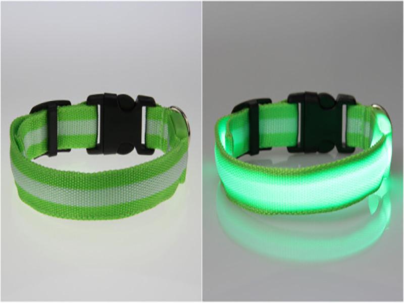 Pet LED Collar