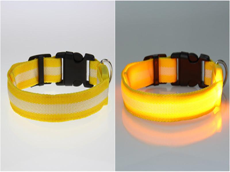 Pet LED Collar