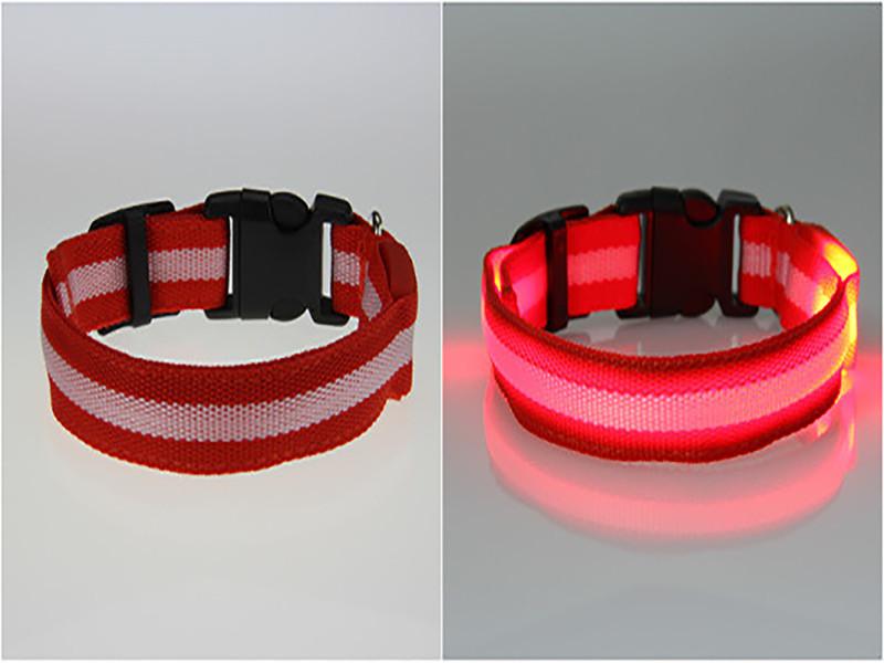 Pet LED Collar