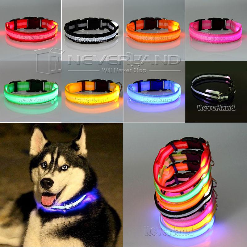 Pet LED Collar