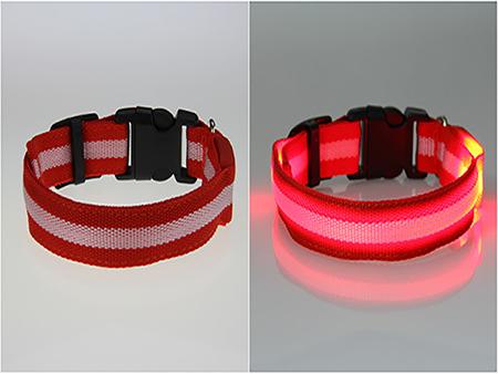 Pet LED Collar