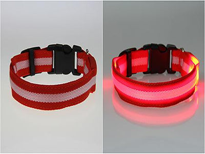 Pet LED Collar