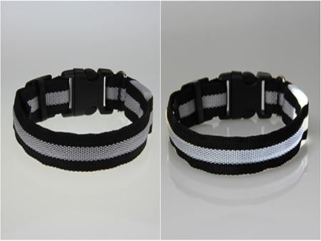Pet LED Collar