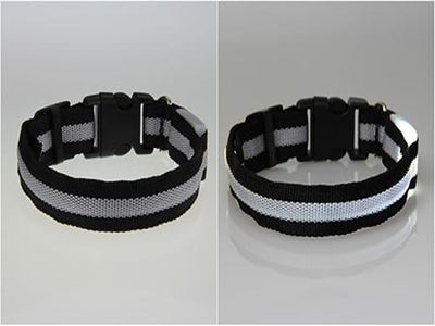 Pet LED Collar