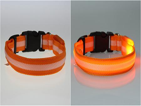 Pet LED Collar