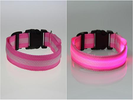 Pet LED Collar