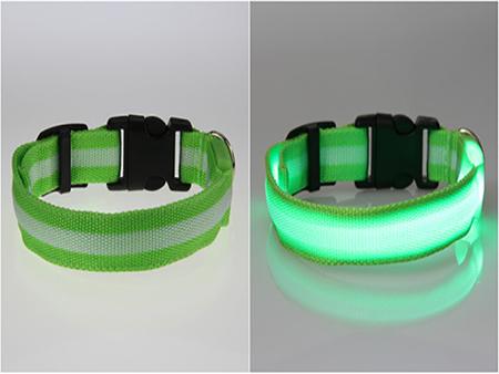 Pet LED Collar