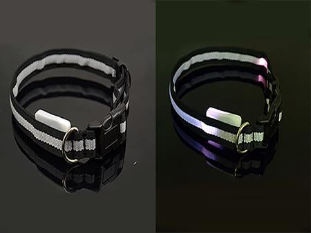 Pet LED Collar