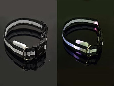 Pet LED Collar