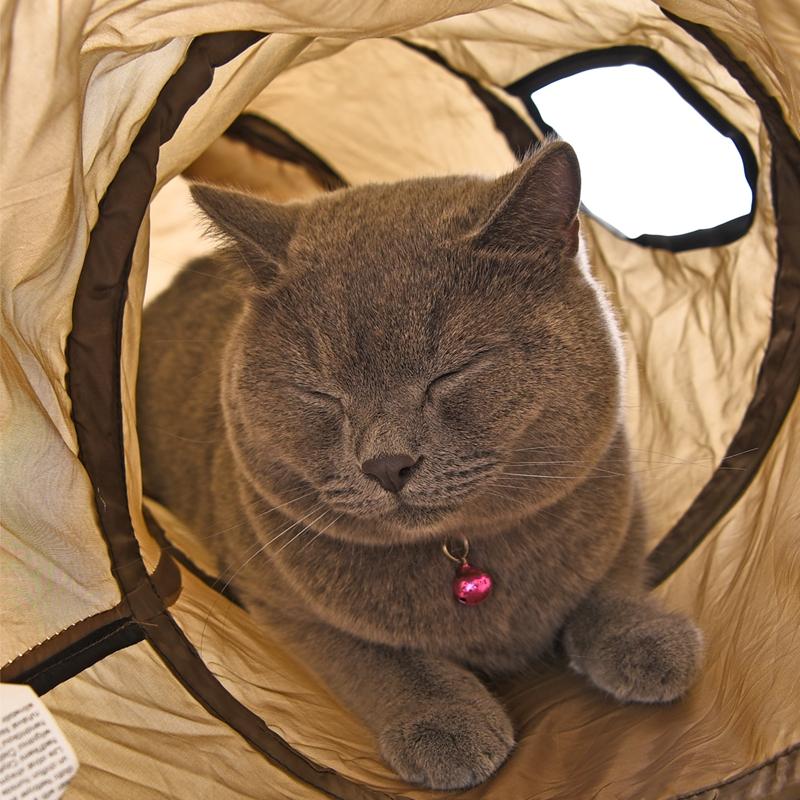 Cat Play Tunnel