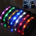 Pet LED Collar