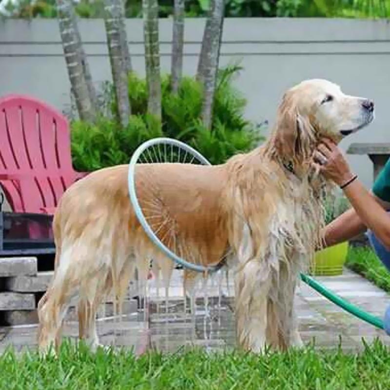 Pet 360 Degree Shower Tool Kit