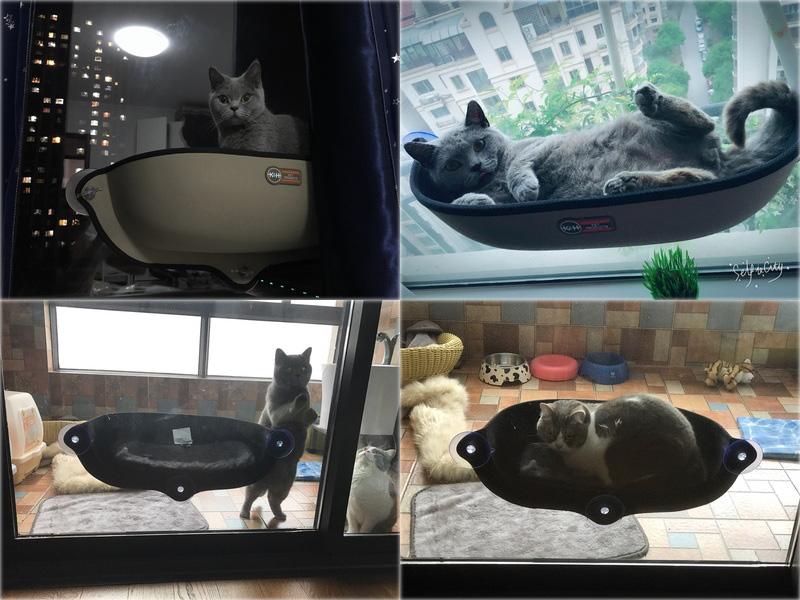 Cat Hammock