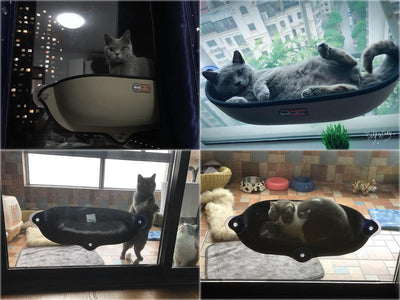 Cat Hammock