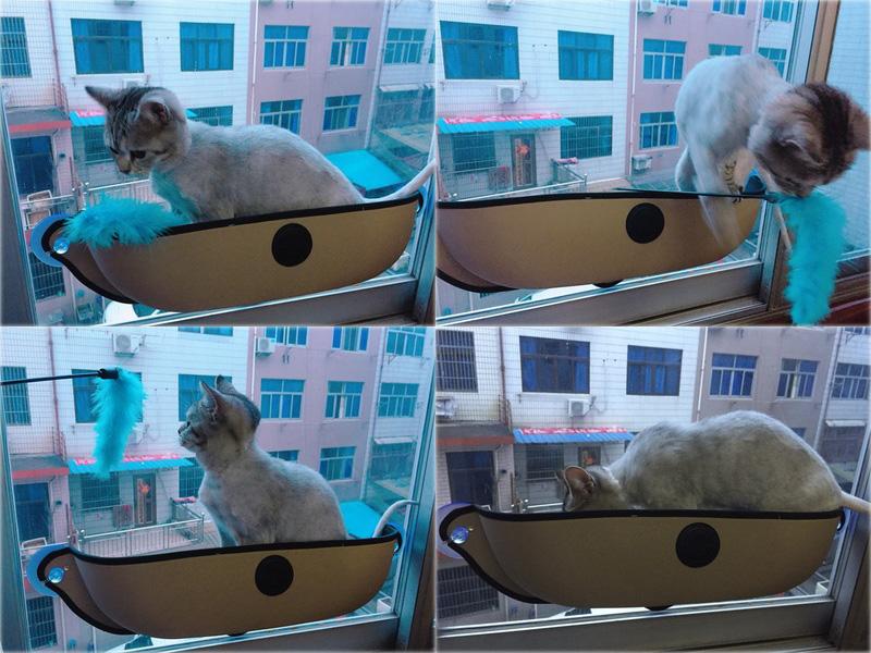 Cat Hammock