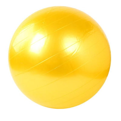 Fitness Gym Yoga Ball