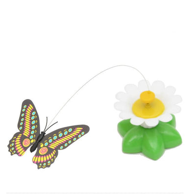 Butterfly Cat Toy