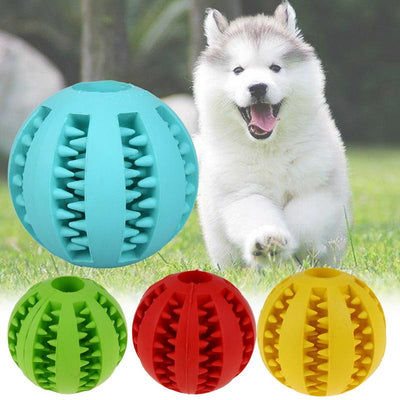 Dog Tooth Cleaning Chew Toy Balls