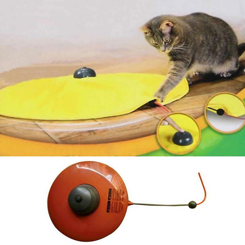 Amazing Cat Toy