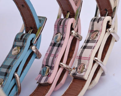 Leather Pet Collar