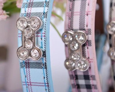 Leather Pet Collar