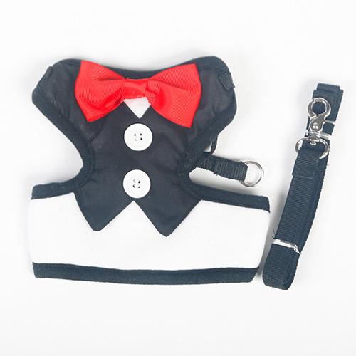 Cat Harnesses