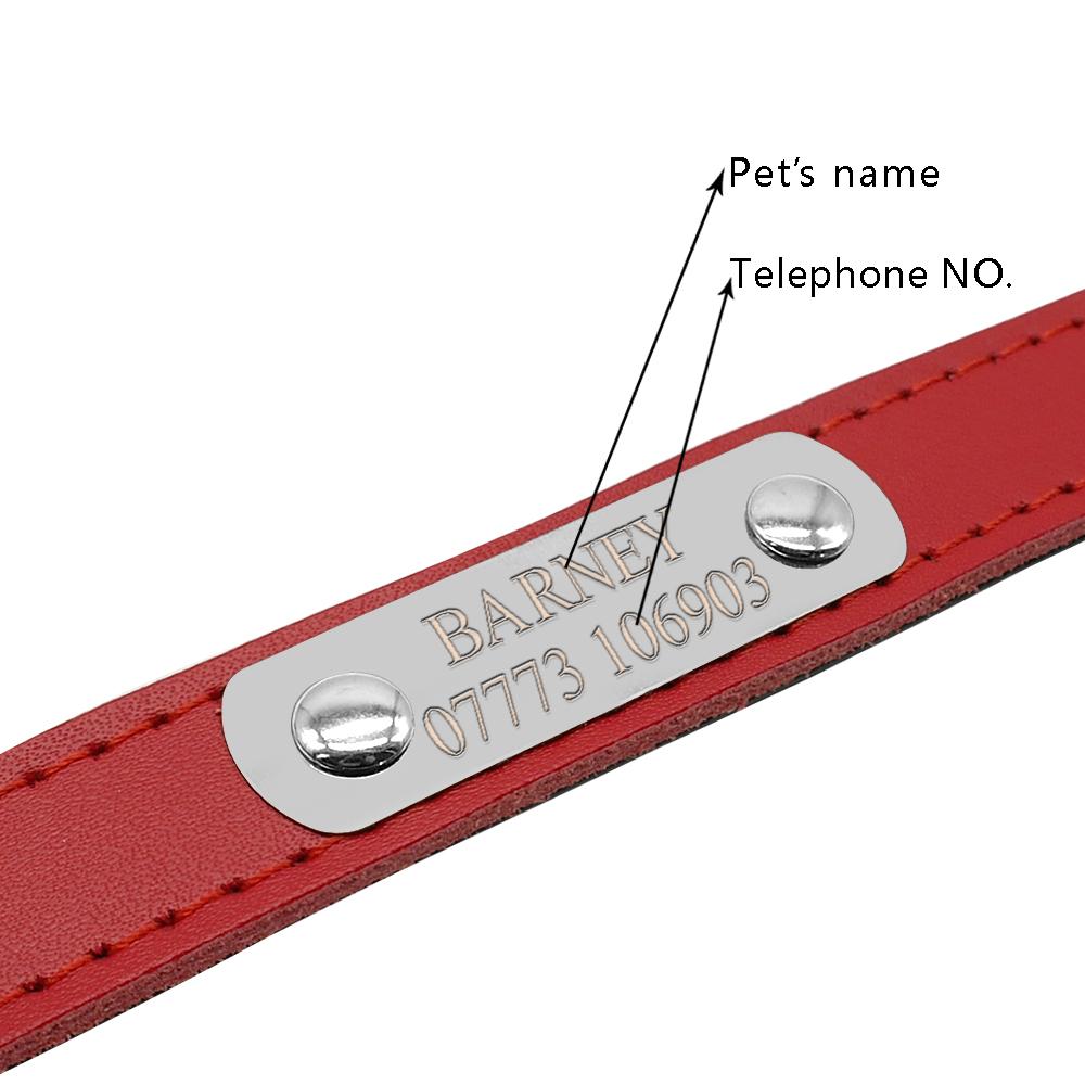 Leather Personalized Dog Collars