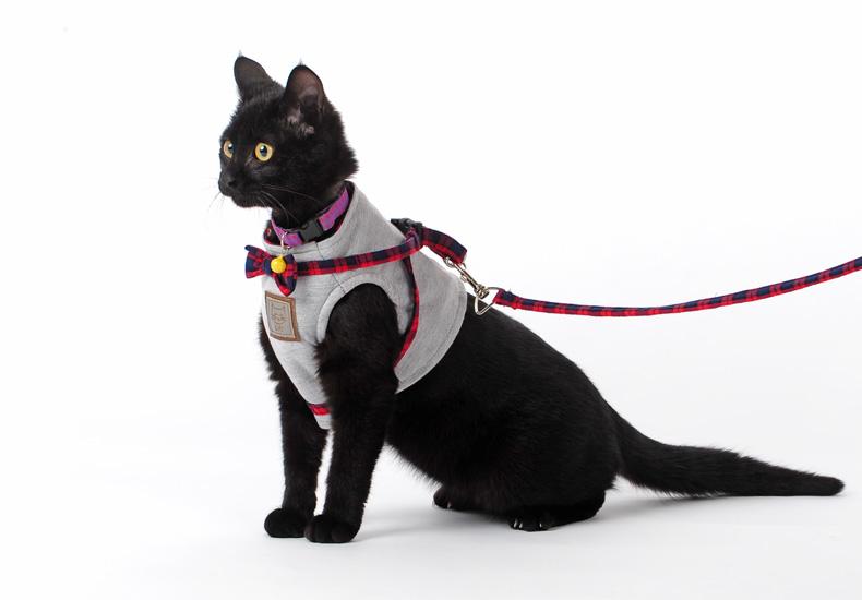 British Style Cute Cat Jacket Leash