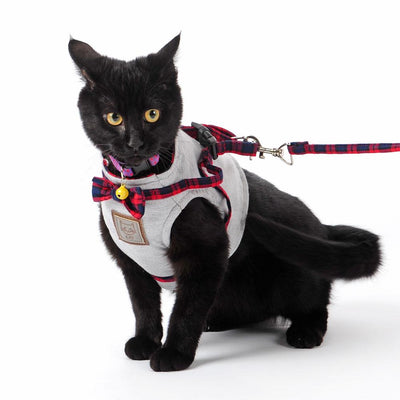 British Style Cute Cat Jacket Leash
