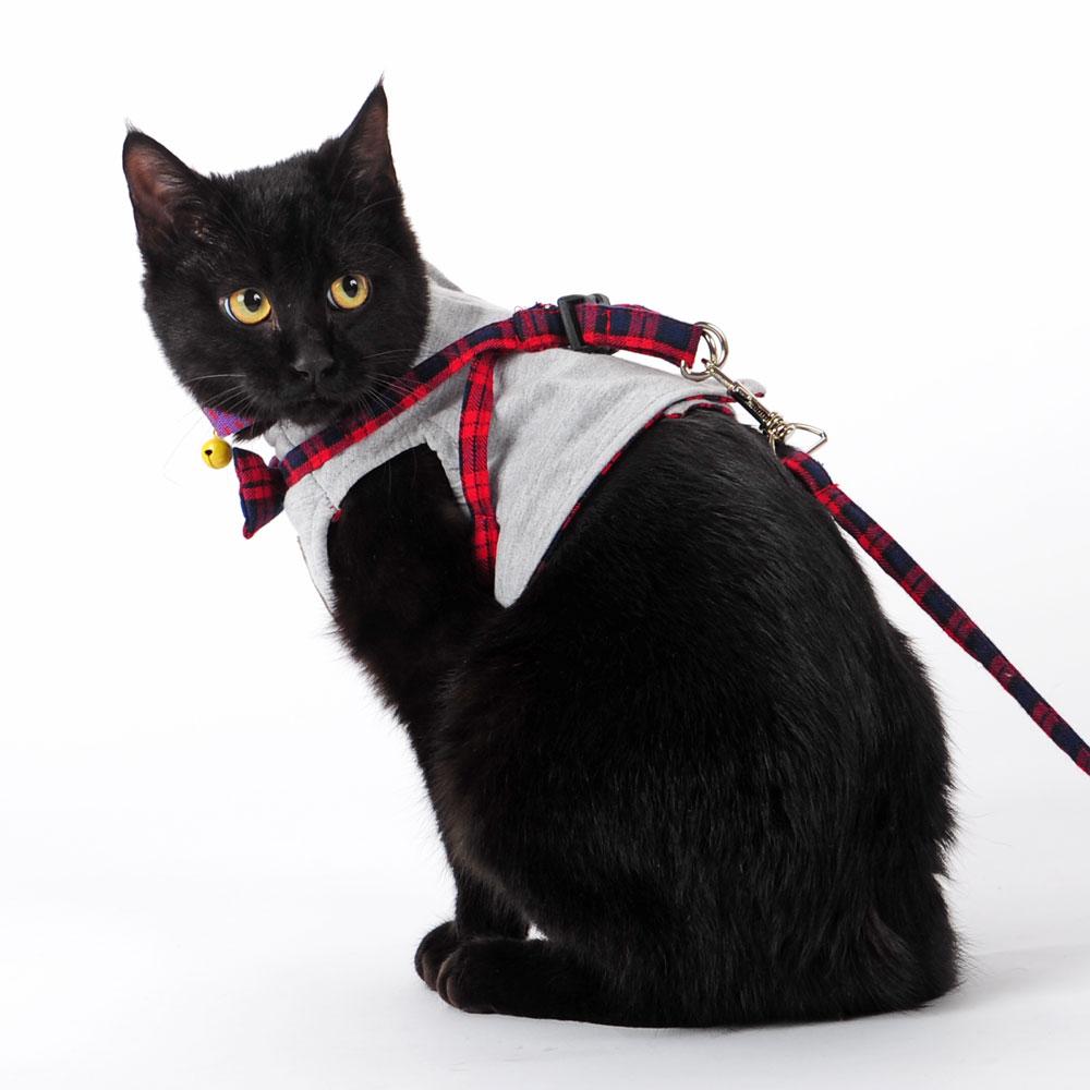 British Style Cute Cat Jacket Leash