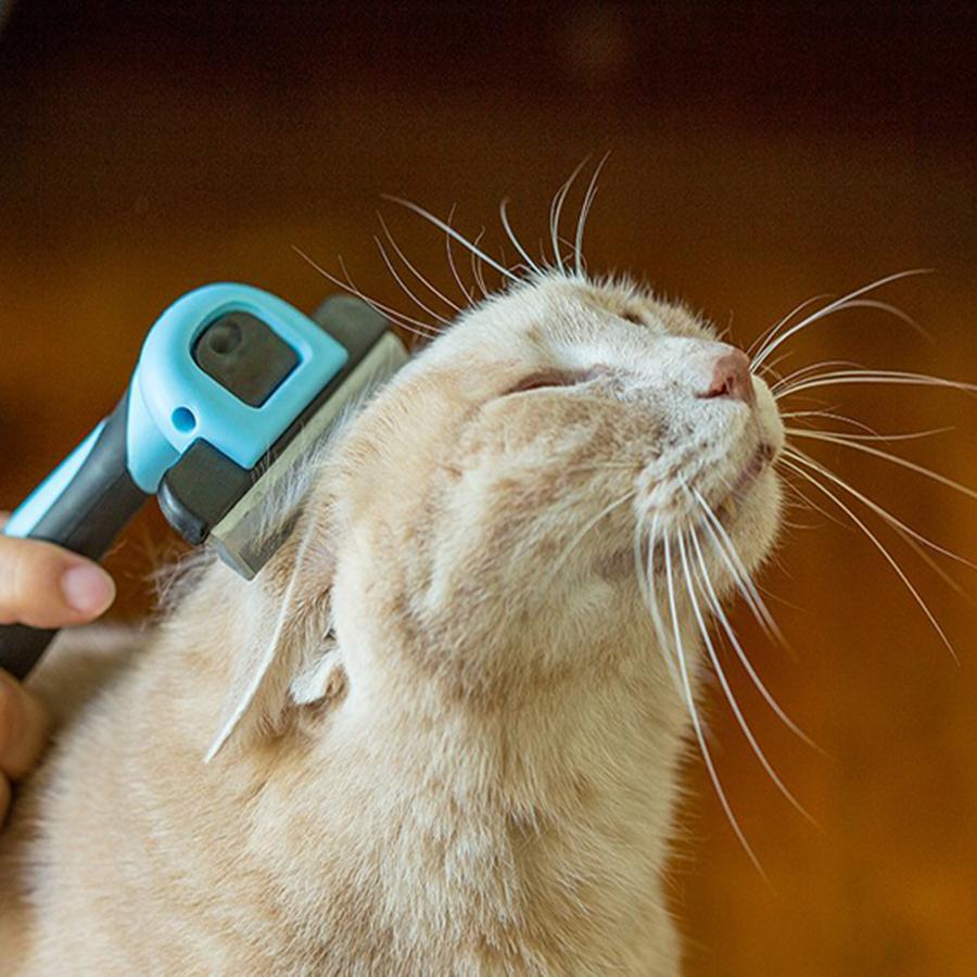 Pet Hair Removal Comb