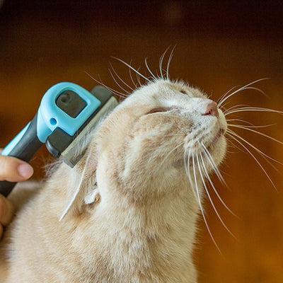 Pet Hair Removal Comb