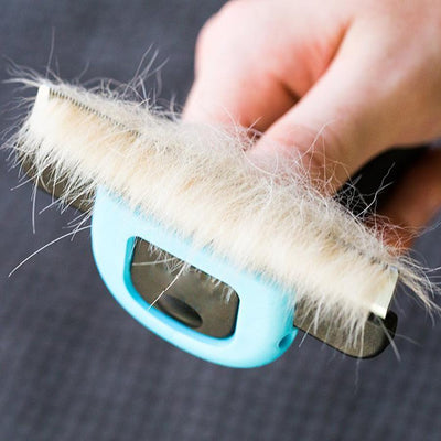 Pet Hair Removal Comb