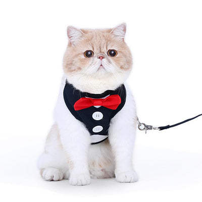 Cat Harnesses