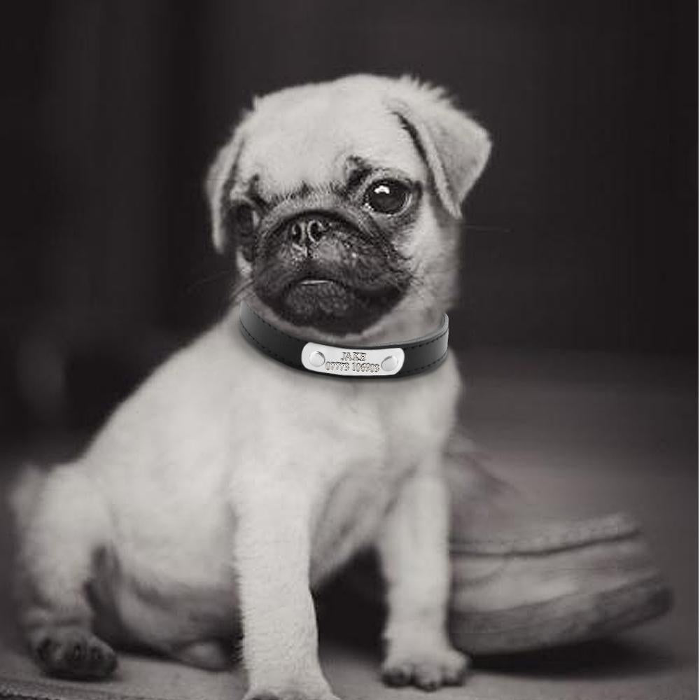 Leather Personalized Dog Collars
