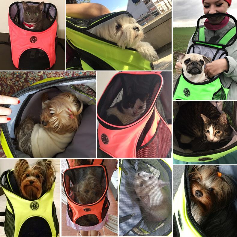 Pet Carrier