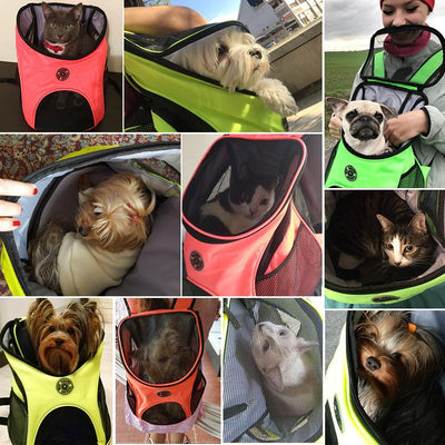 Pet Carrier